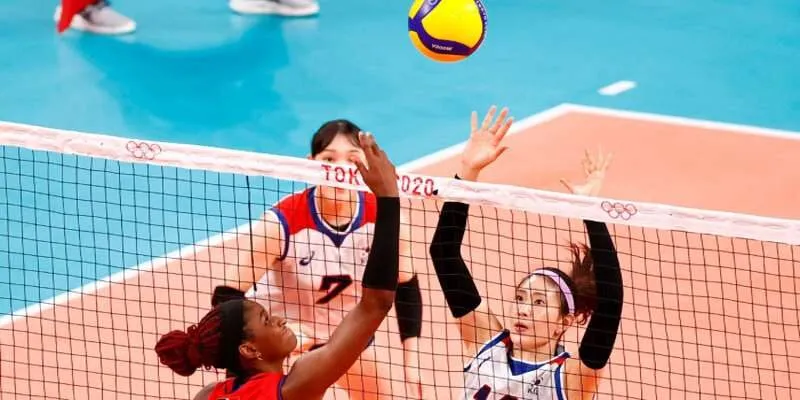 What Volleyball Betting Odds Are Currently Being Organized?